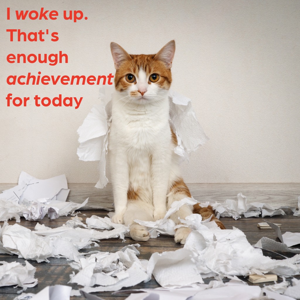 Achievement Unlocked Cat | Good Morning Images With Cats quotes and wishes