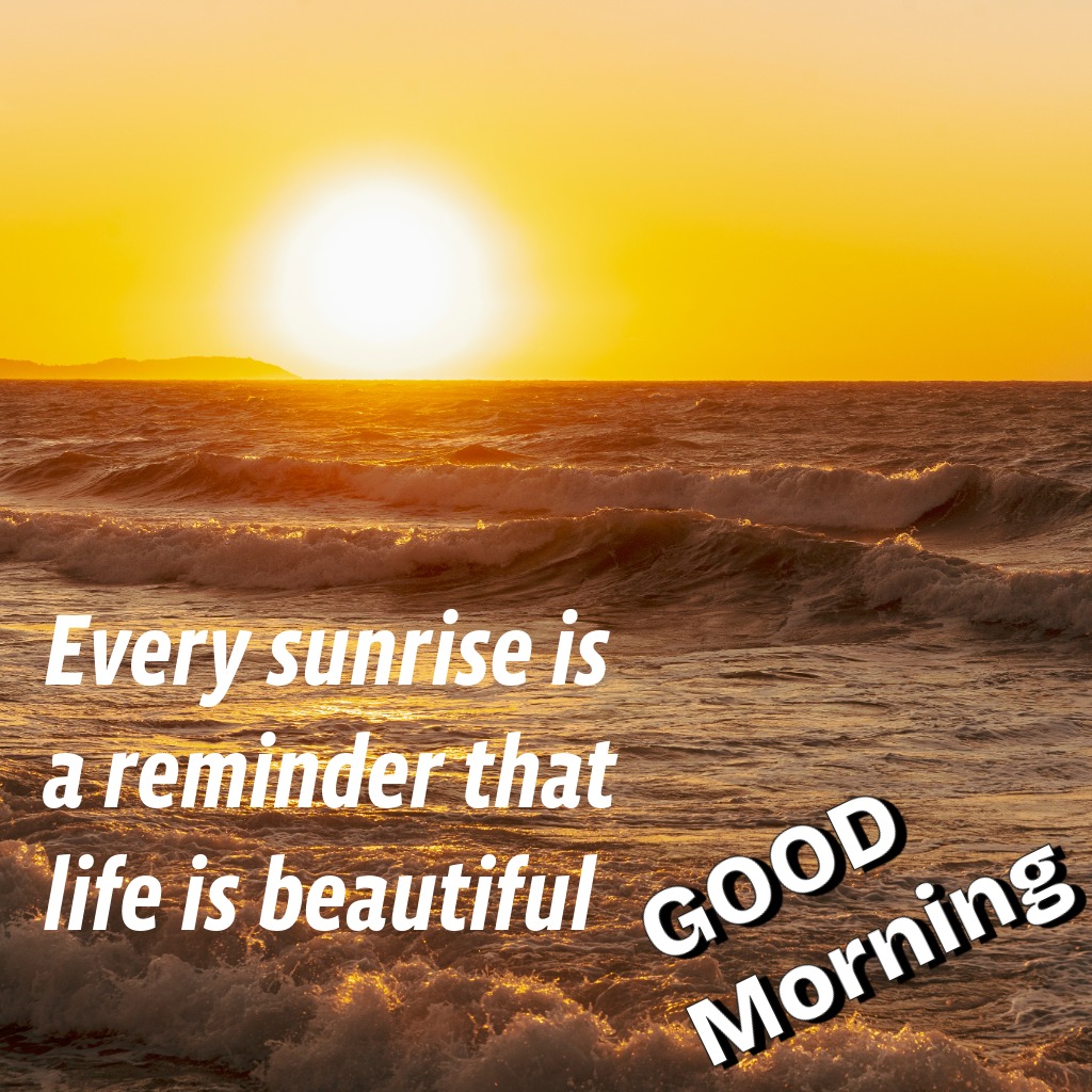 Beach Sunshine Morning