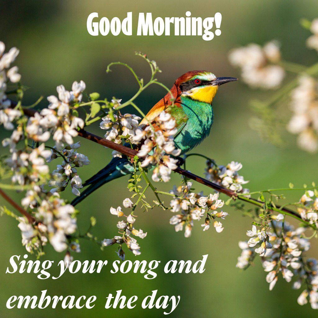 Colorful birds perched on blossoming branches