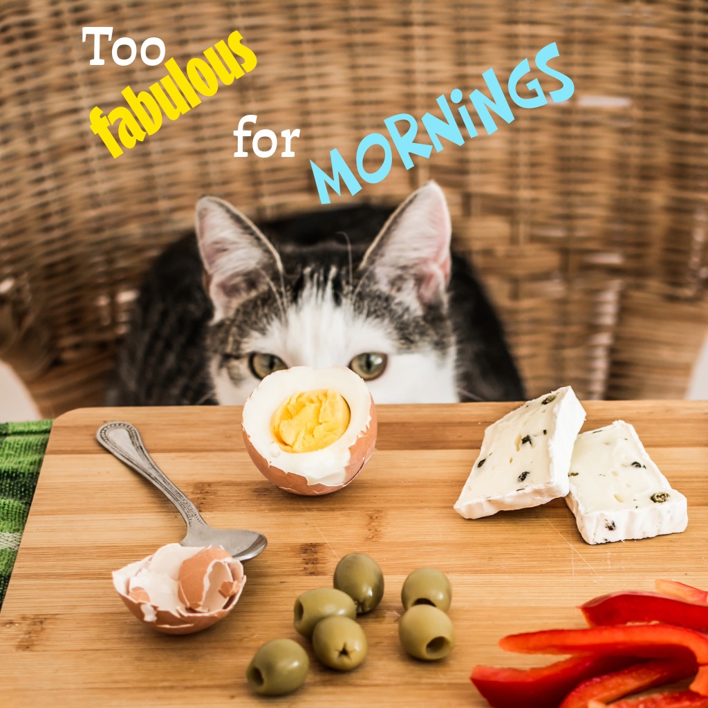Fabulous Morning Cat | Good Morning Images With Cats quotes and wishes