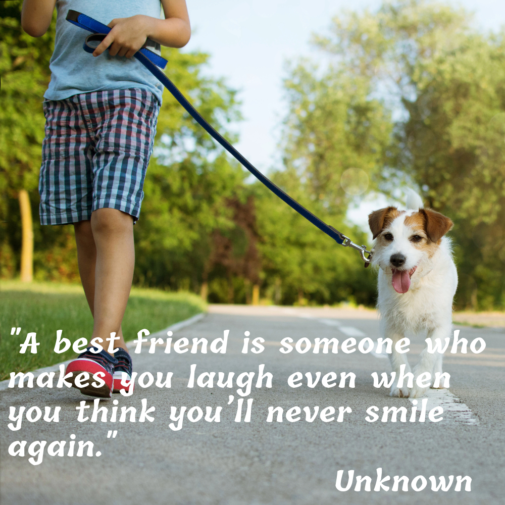 Friendship Quotes Images | Friendship Quotes Images quotes and wishes