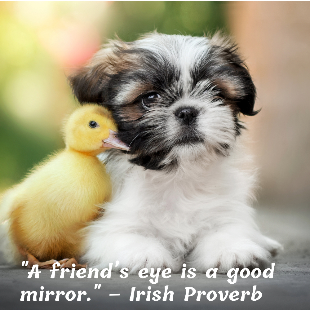 Friendship Quotes Images | Friendship Quotes Images quotes and wishes