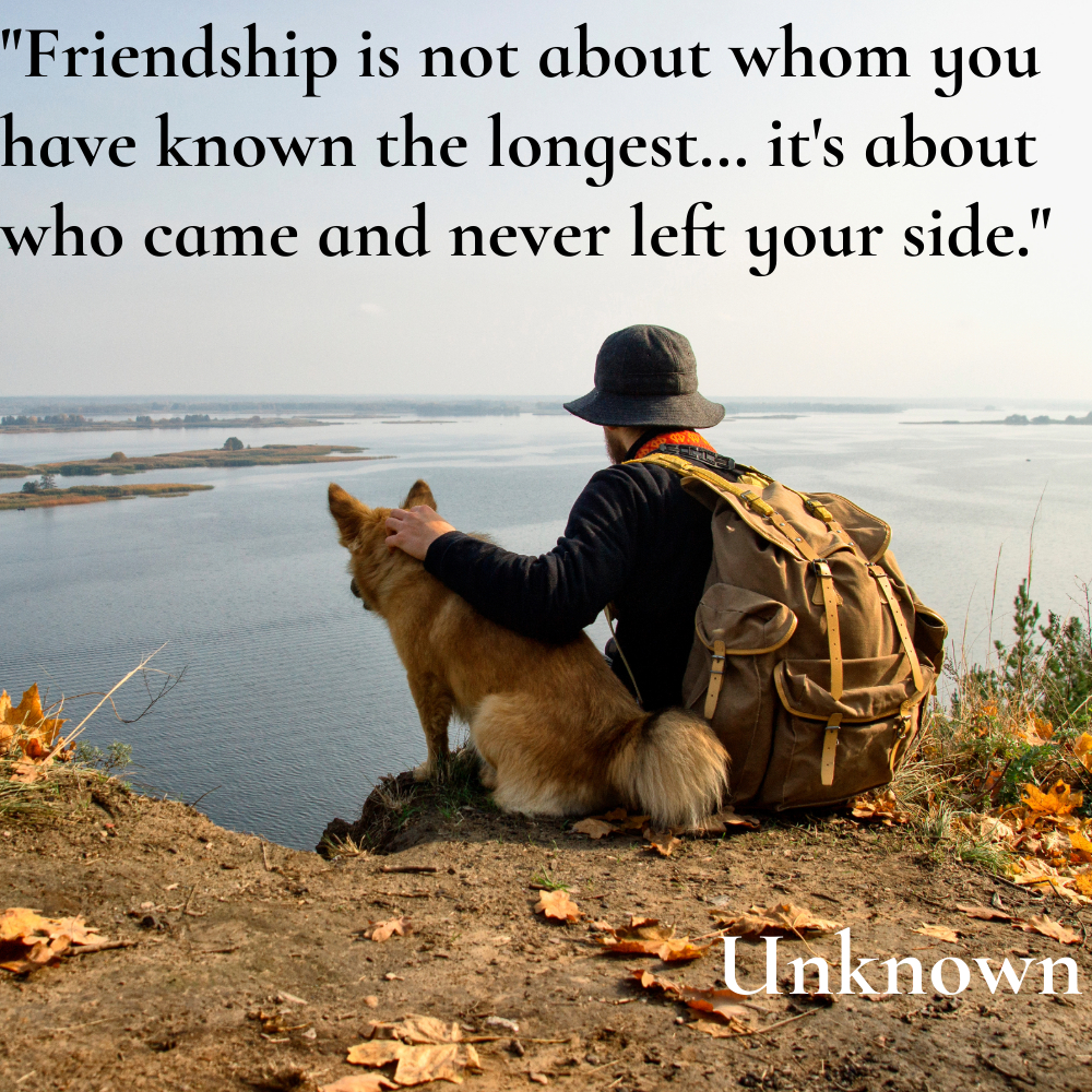 Friendship Quotes Images | Friendship Quotes Images quotes and wishes