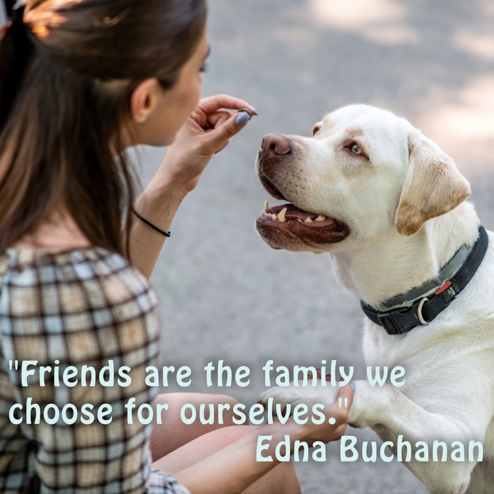 Friendship Quotes Images | Friendship Quotes Images quotes and wishes