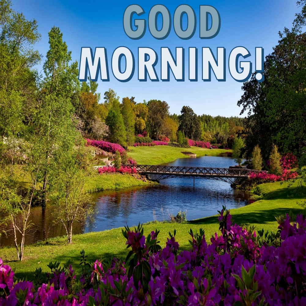 Good Morning Images | Good Morning Images quotes and wishes