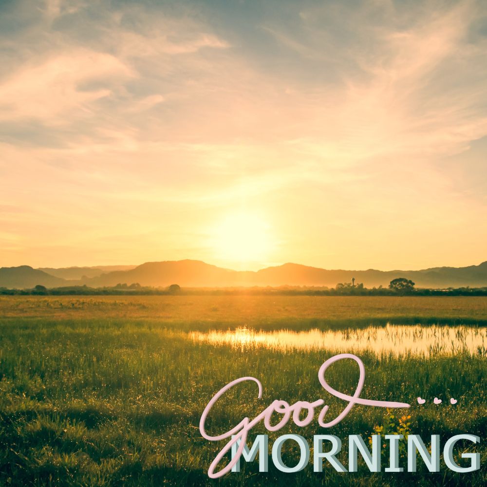 Good Morning Images | Good Morning Images quotes and wishes