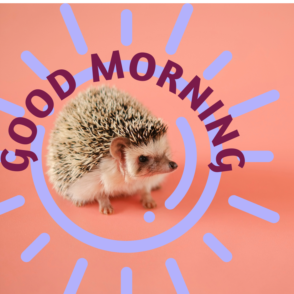 Good Morning Images | Good Morning Images quotes and wishes