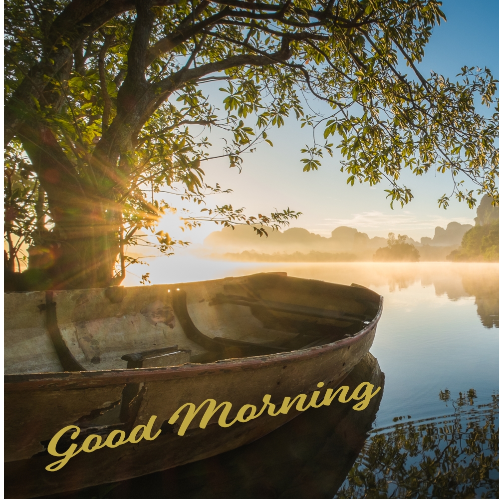 Good Morning Images | Good Morning Images quotes and wishes