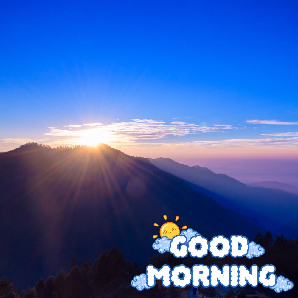 Good Morning Images | Good Morning Images quotes and wishes