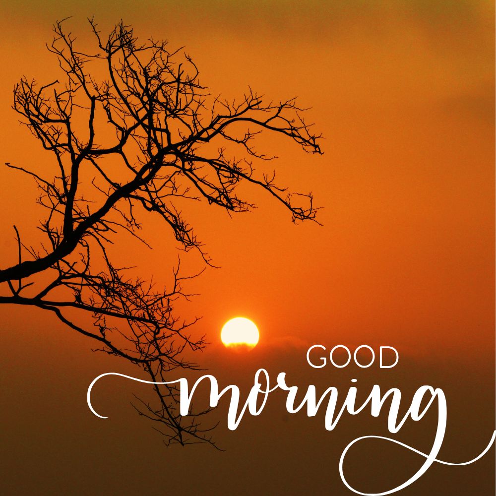 Good Morning Images | Good Morning Images quotes and wishes