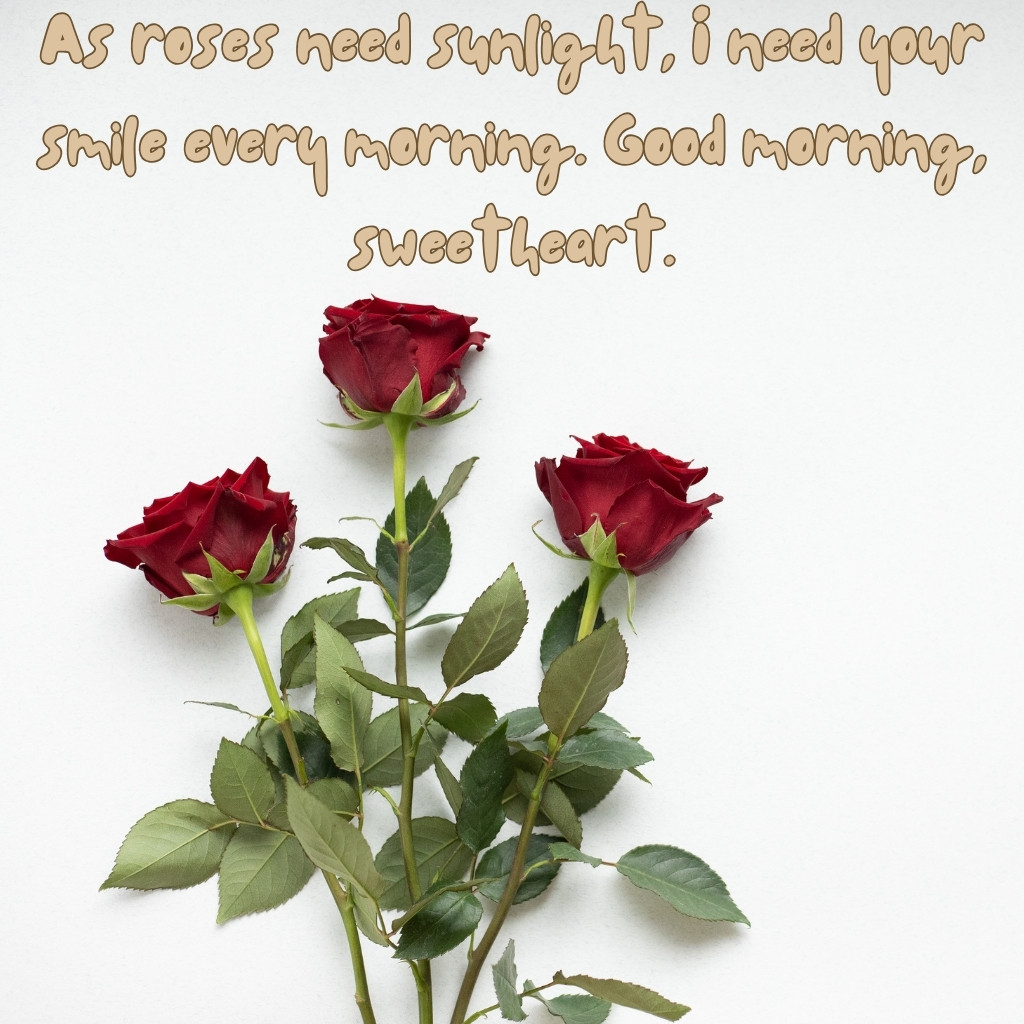 Good Morning Images Between Couples 13 | Good Morning Images Between Couples quotes and wishes