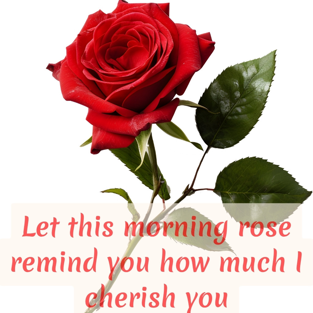 Good Morning Images Between Couples 15 | Good Morning Images Between Couples quotes and wishes