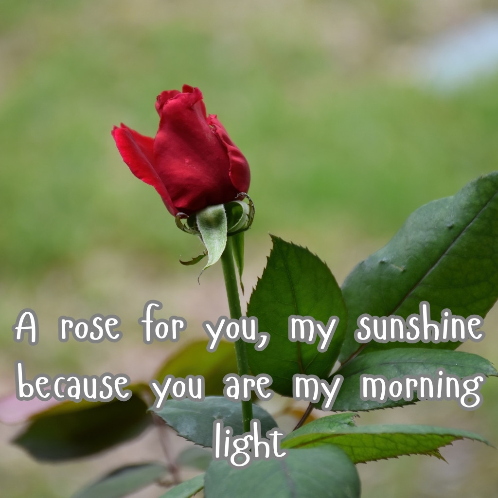Good Morning Images Between Couples 23 | Good Morning Images Between Couples quotes and wishes