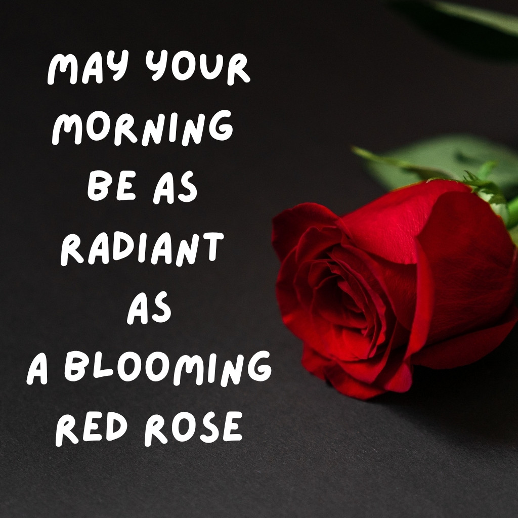 Good Morning Images Between Couples 24 | Good Morning Images Between Couples quotes and wishes