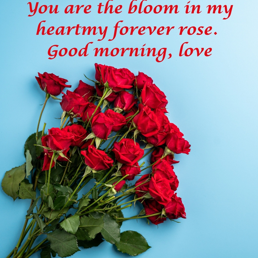Good Morning Images Between Couples 14 | Good Morning Images Between Couples quotes and wishes