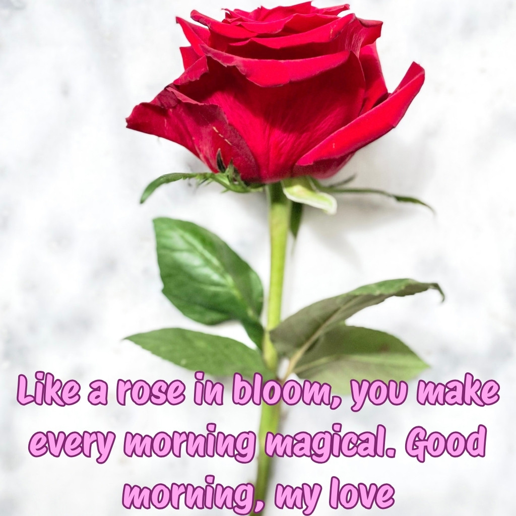 Good Morning Images Between Couples 25 | Good Morning Images Between Couples quotes and wishes