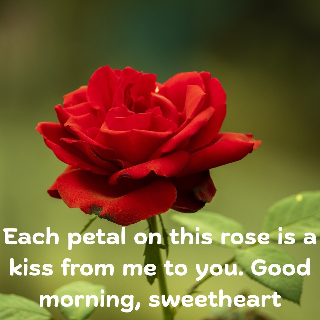 Good Morning Images Between Couples 22 | Good Morning Images Between Couples quotes and wishes