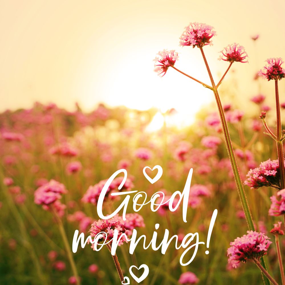 Good Morning Images | Good Morning Images quotes and wishes