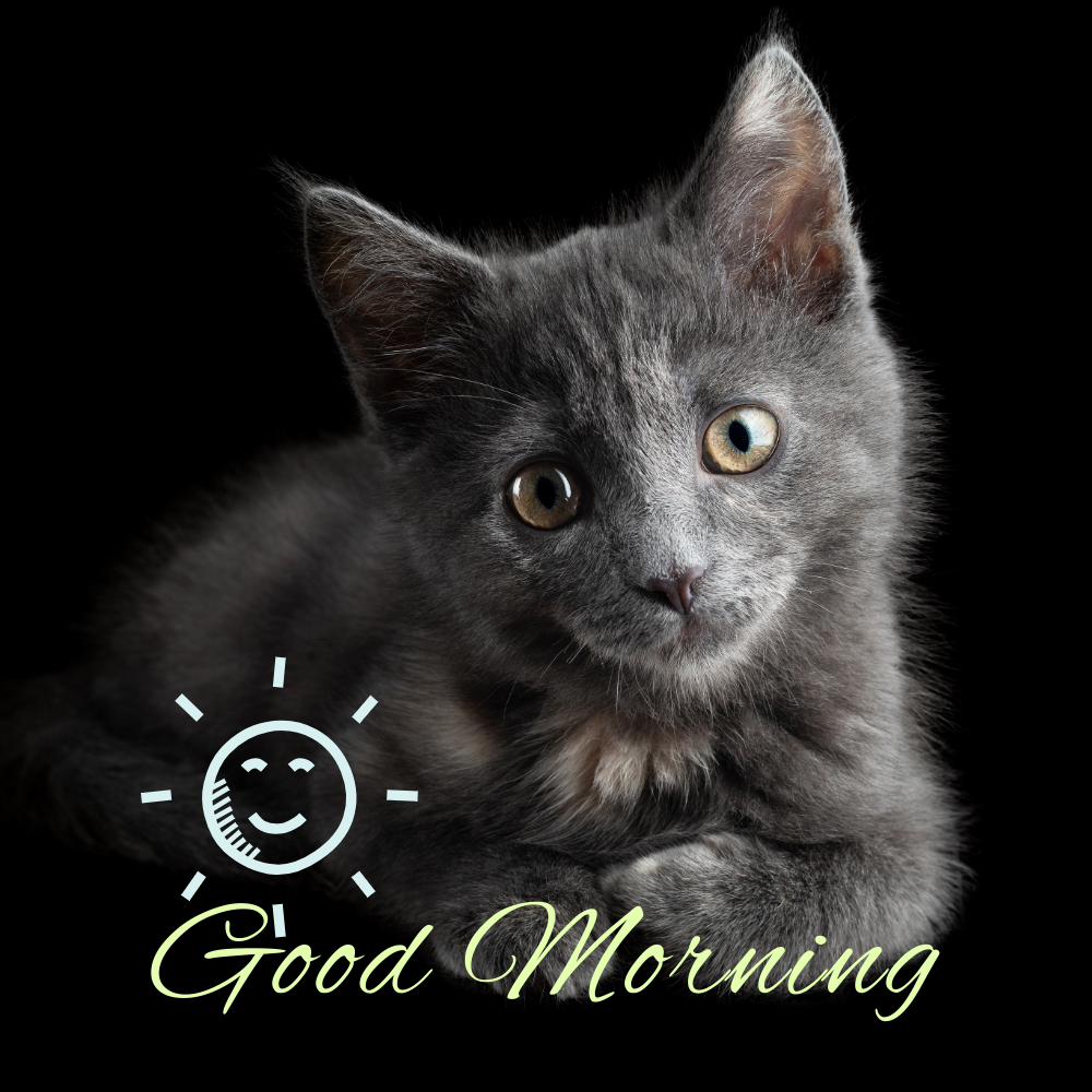 Good Morning Images | Good Morning Images quotes and wishes
