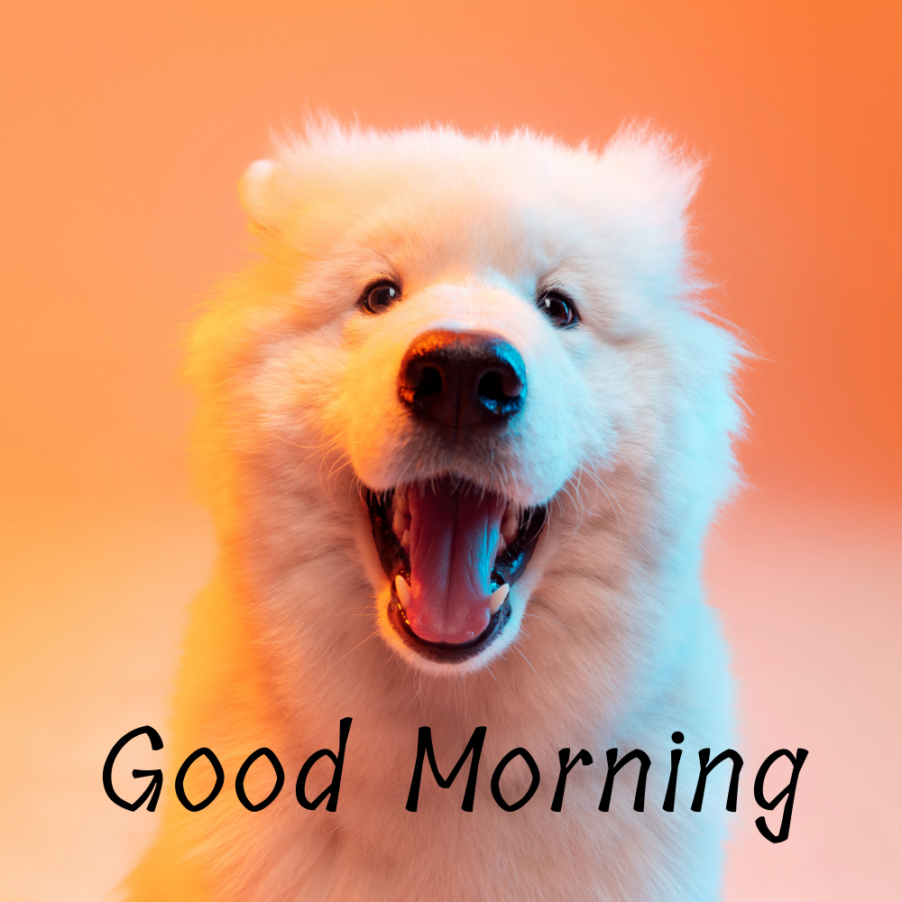 Good Morning Images | Good Morning Images quotes and wishes