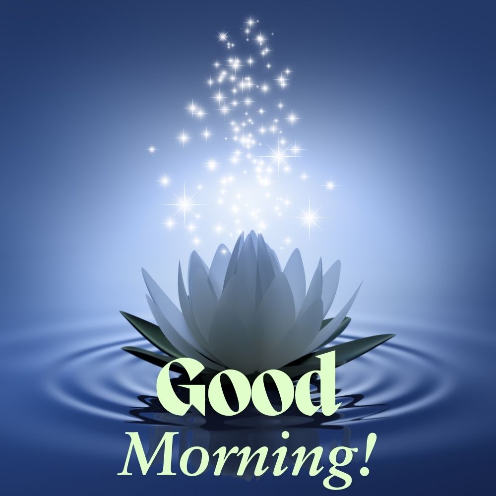 Good Morning Images With Flowers | Good Morning Images With Flowers quotes and wishes
