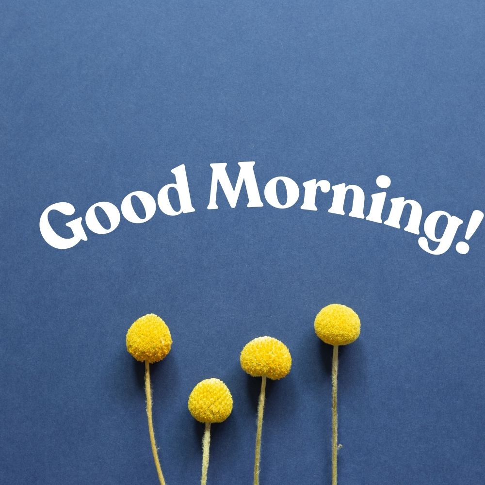 Good Morning Images With Flowers | Good Morning Images With Flowers quotes and wishes