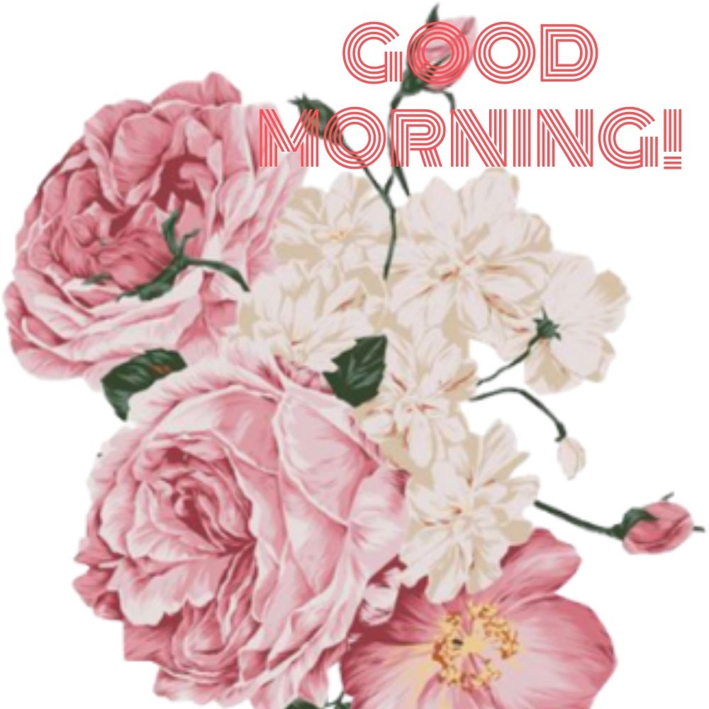 Good Morning Images With Flowers | Good Morning Images With Flowers quotes and wishes
