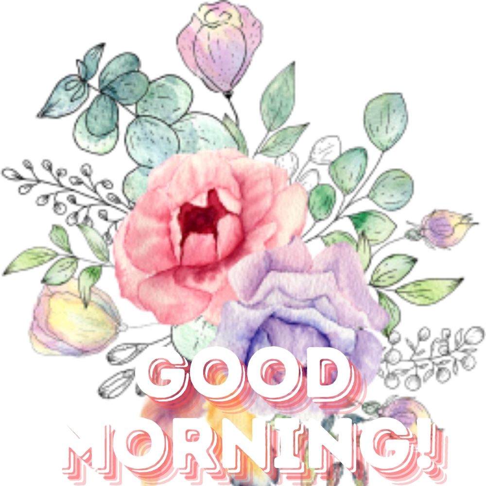 Good Morning Images With Flowers | Good Morning Images With Flowers quotes and wishes