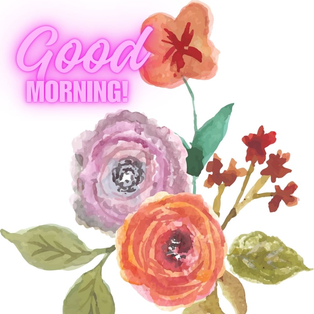 Good Morning Images With Flowers | Good Morning Images With Flowers quotes and wishes