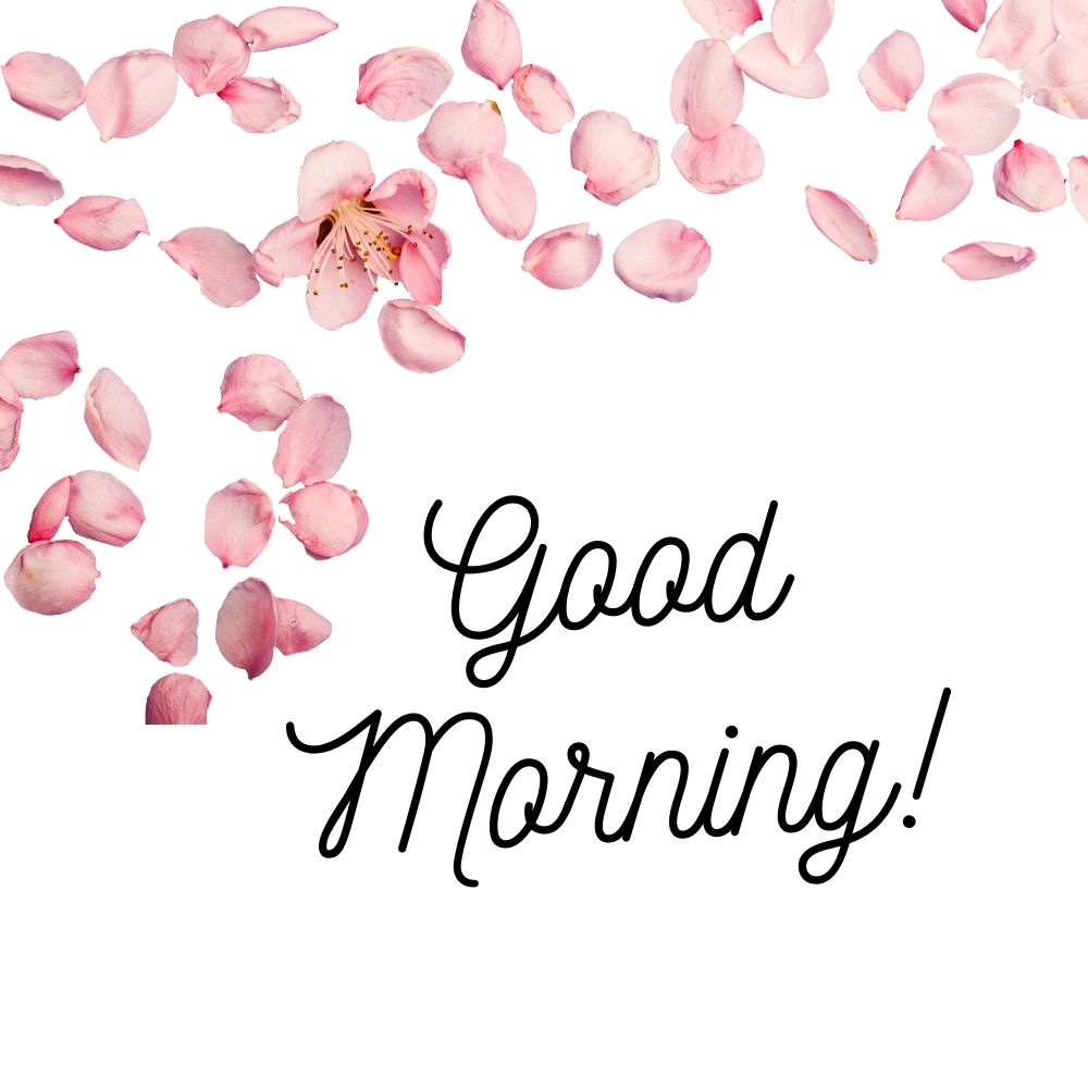 Good Morning Images With Flowers | Good Morning Images With Flowers quotes and wishes