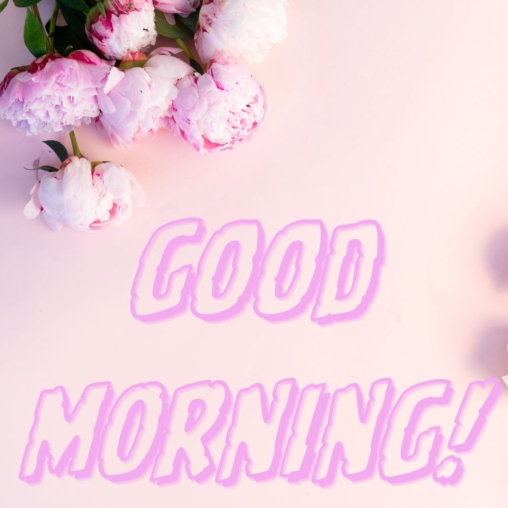 Good Morning Images With Flowers | Good Morning Images With Flowers quotes and wishes
