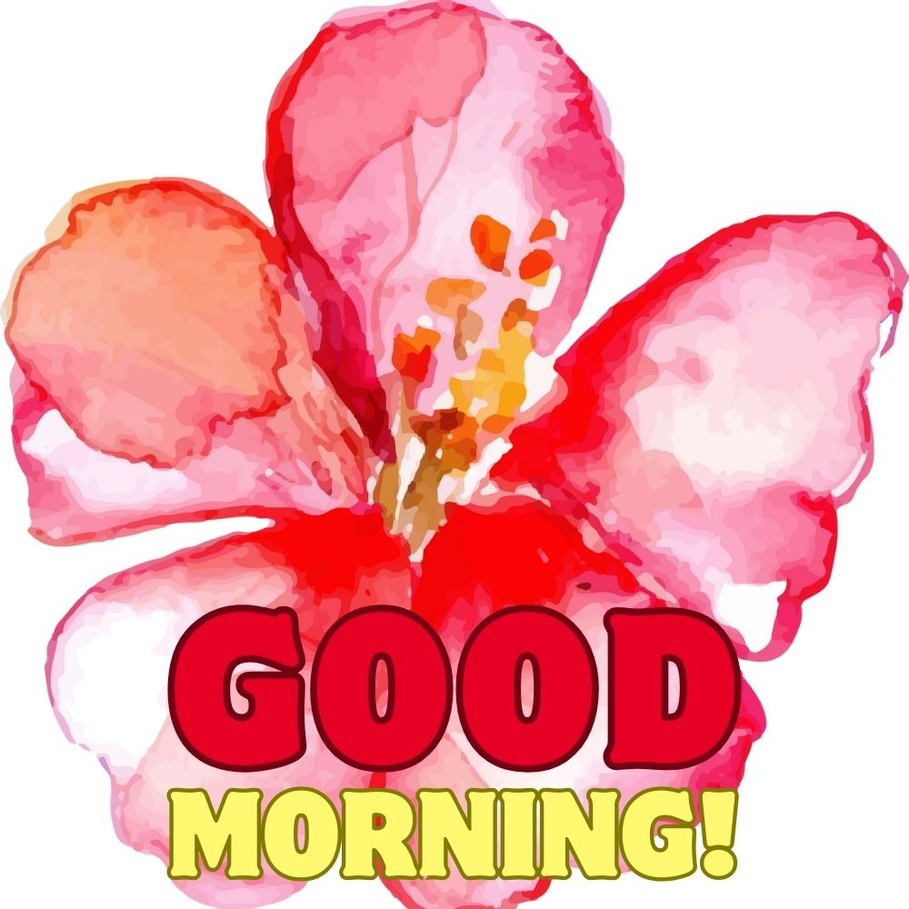 Good Morning Images With Flowers | Good Morning Images With Flowers quotes and wishes