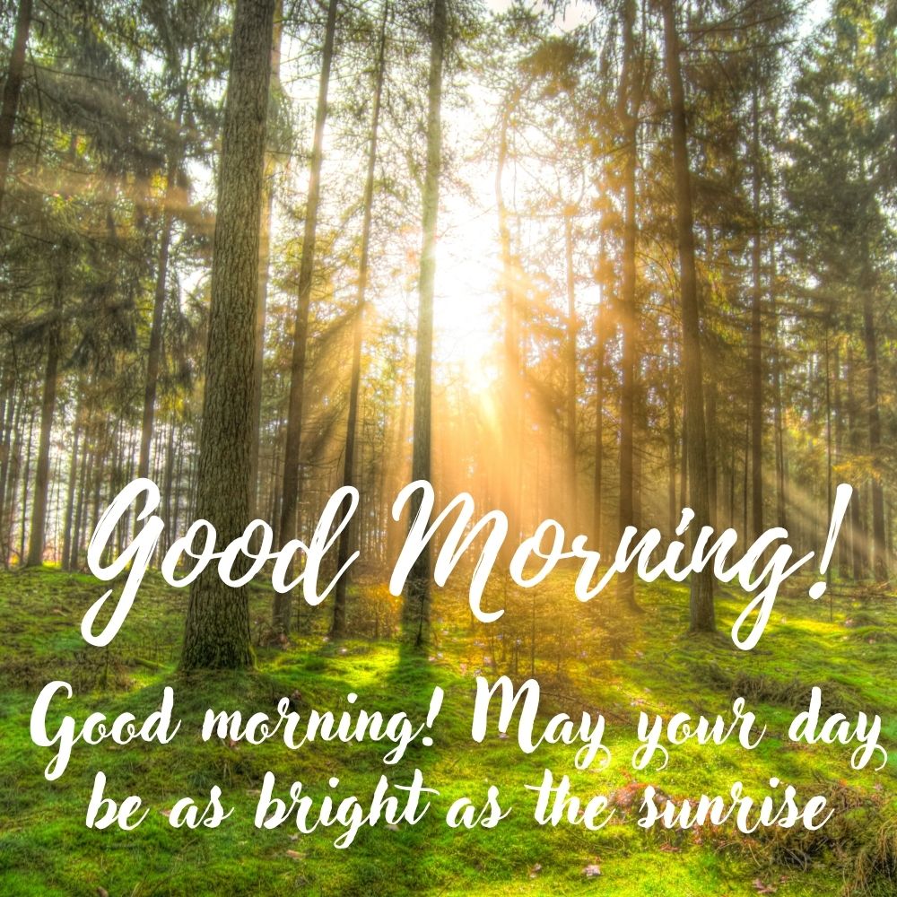 Good Morning Images with quotes | Good Morning Images With Quotes quotes and wishes