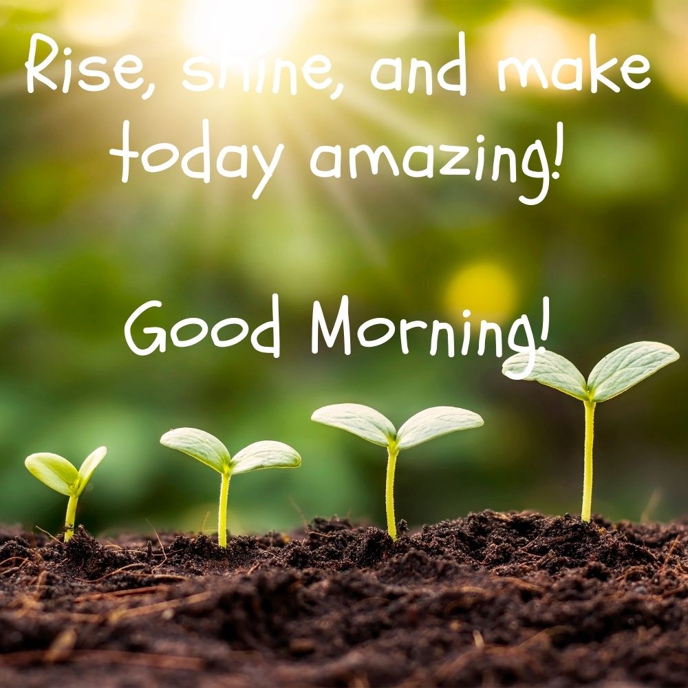 Good Morning Images with quotes | Good Morning Images With Quotes quotes and wishes