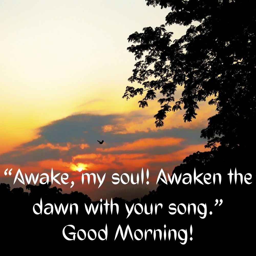 Good Morning Images With Quotes | Good Morning Images With Quotes quotes and wishes
