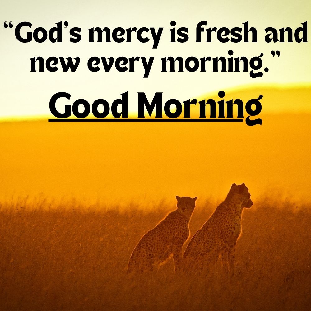 Good Morning Images With Quotes | Good Morning Images With Quotes quotes and wishes