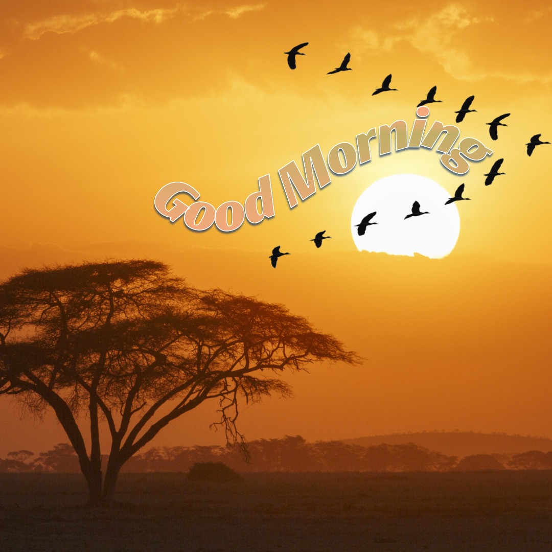 Good Morning Sunshine Image 07 | Good Morning Sunshine Images quotes and wishes