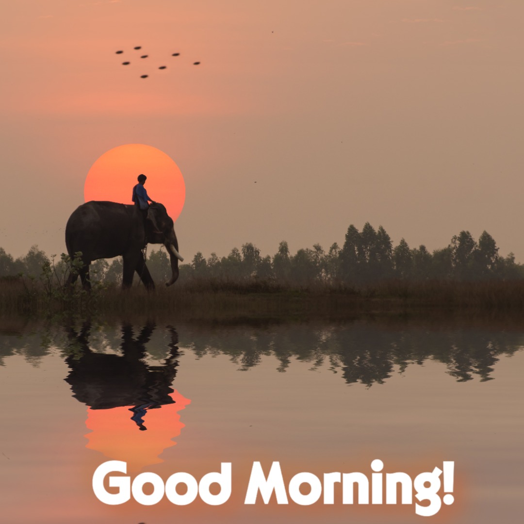 Good Morning Sunshine Image 01 | Good Morning Sunshine Images quotes and wishes