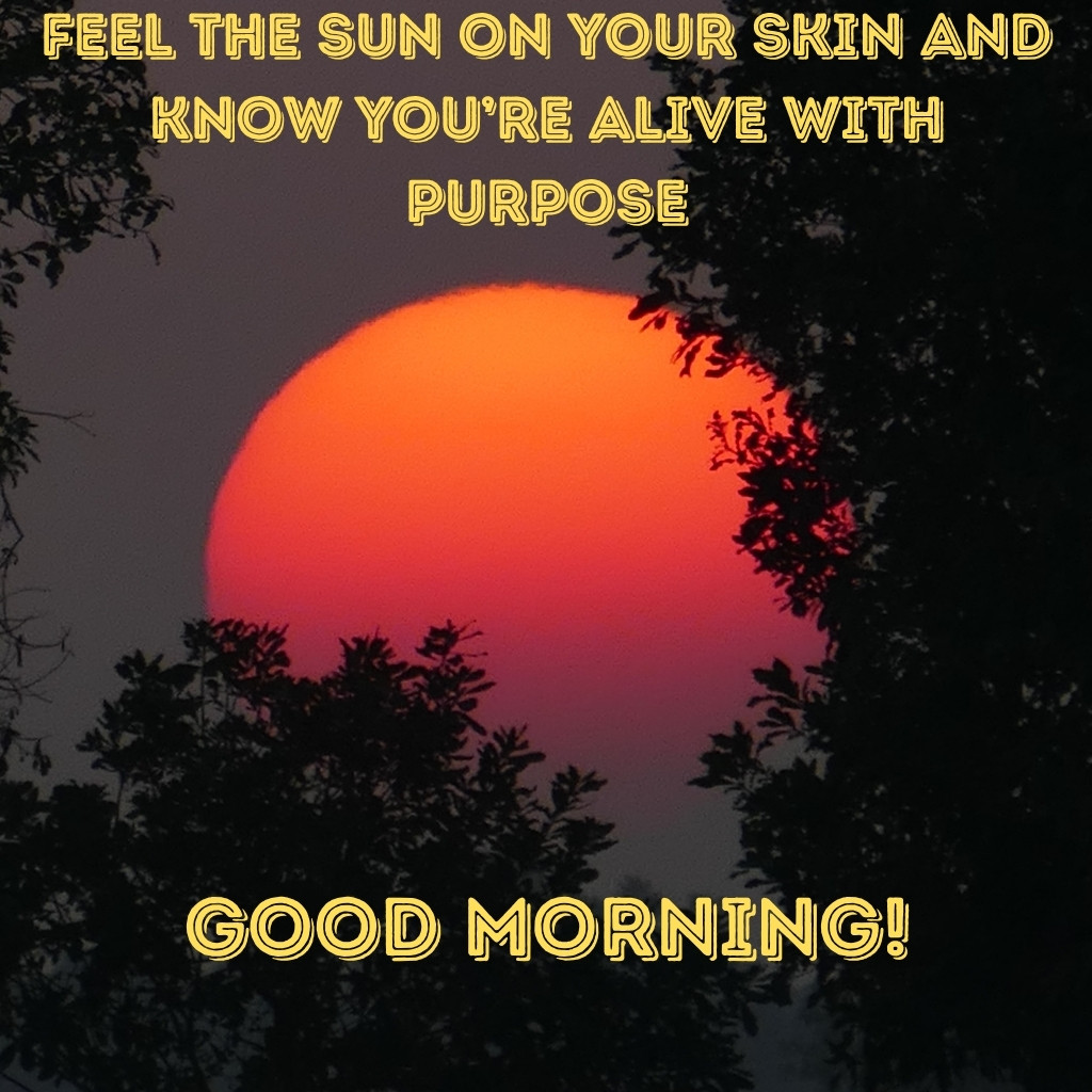 ood Morning Sunshine Image 34 | Good Morning Sunshine Images quotes and wishes