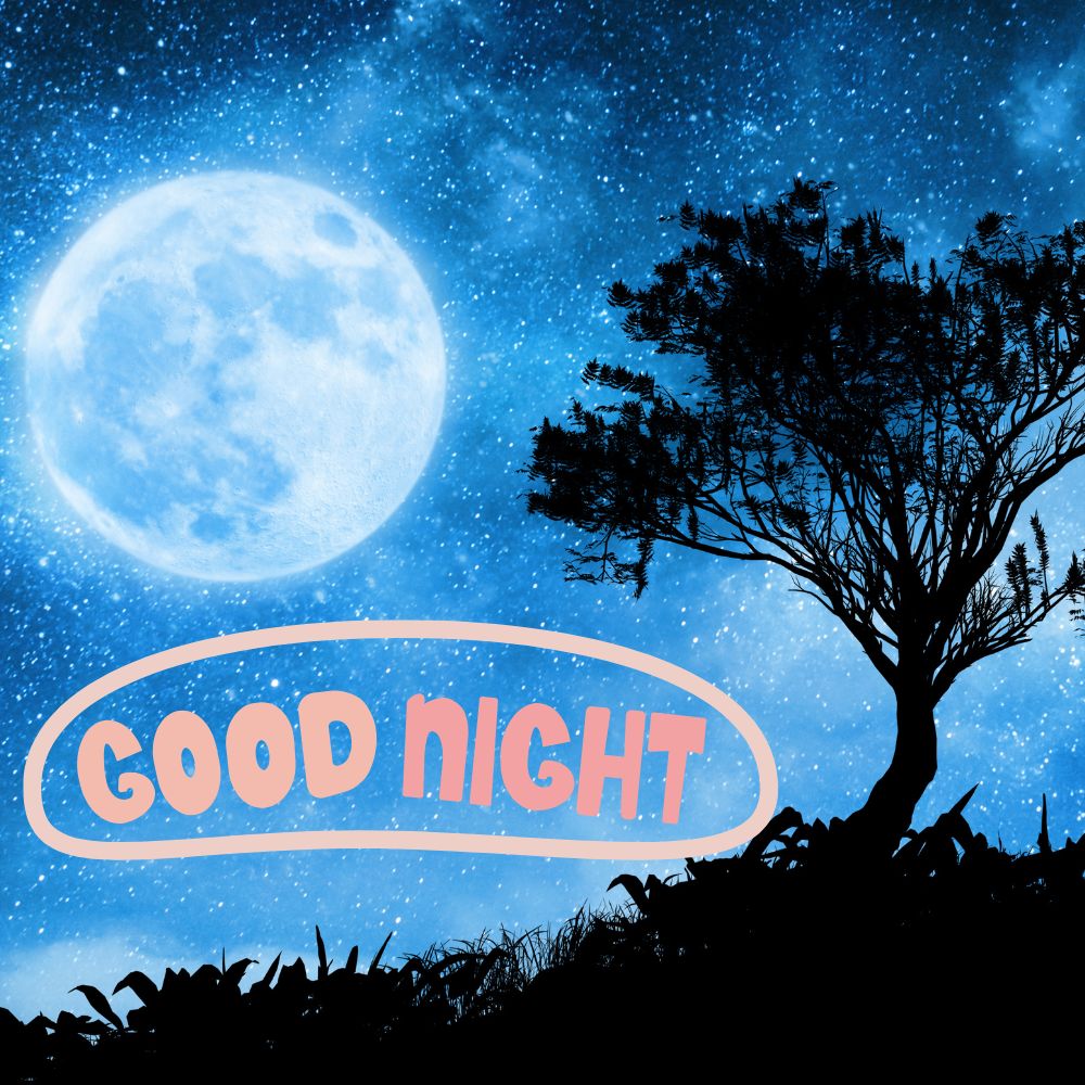 Good Night Images | Good Night Images quotes and wishes
