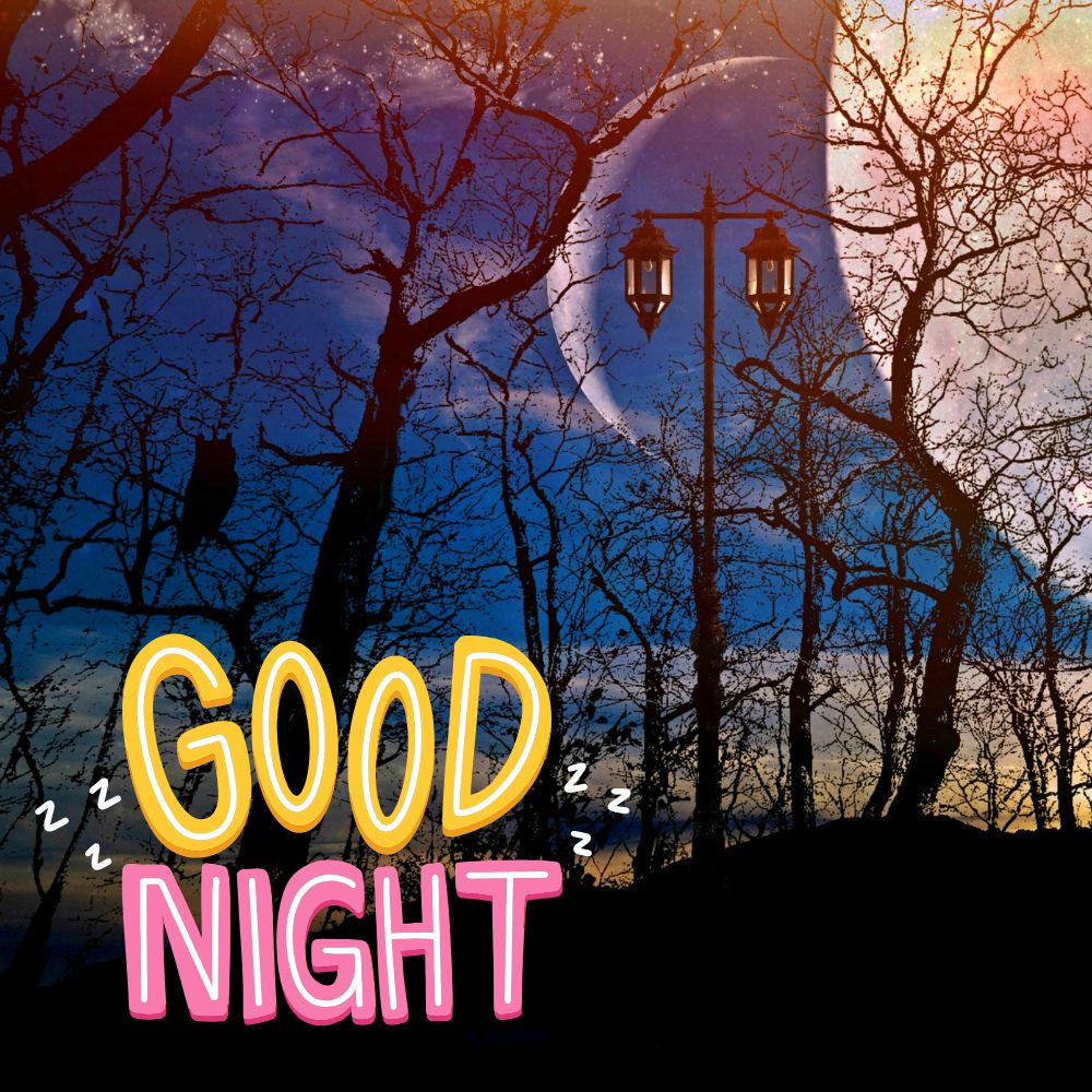 Good Night Images | Good Night Images quotes and wishes