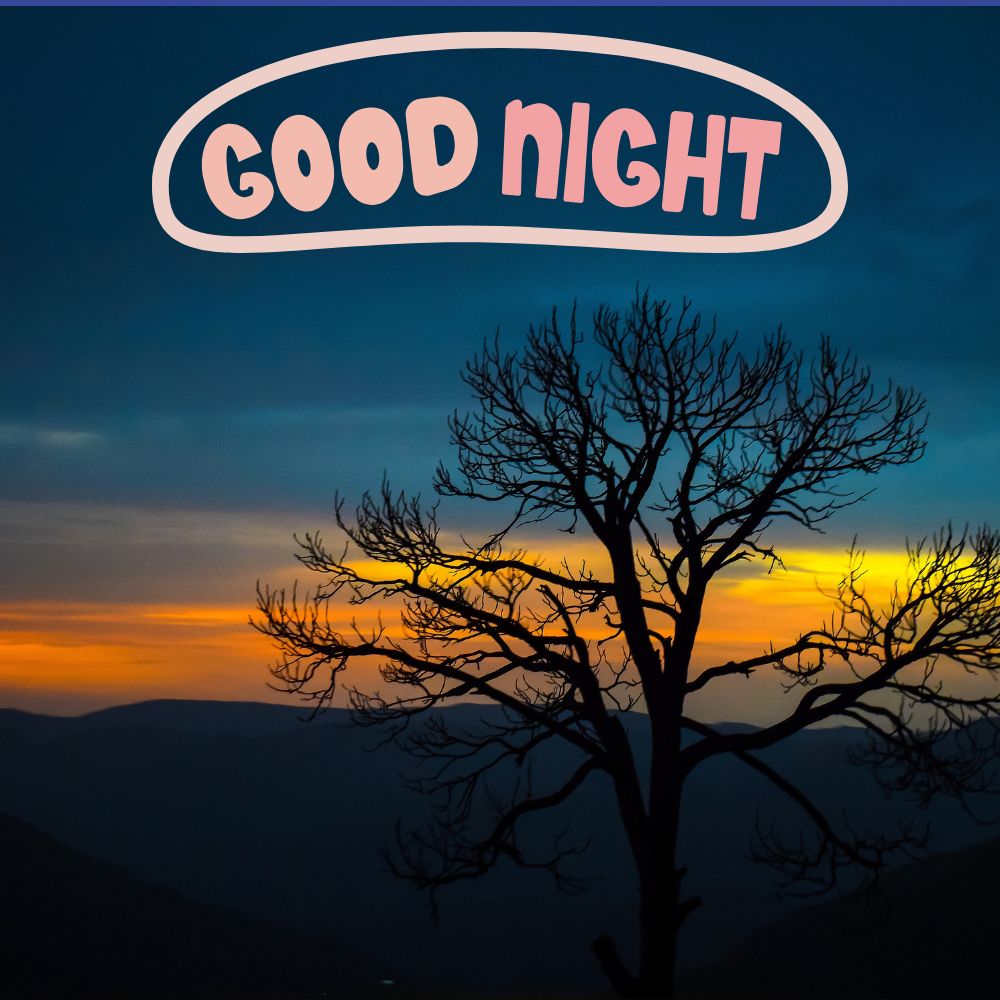 Good Night Images | Good Night Images quotes and wishes