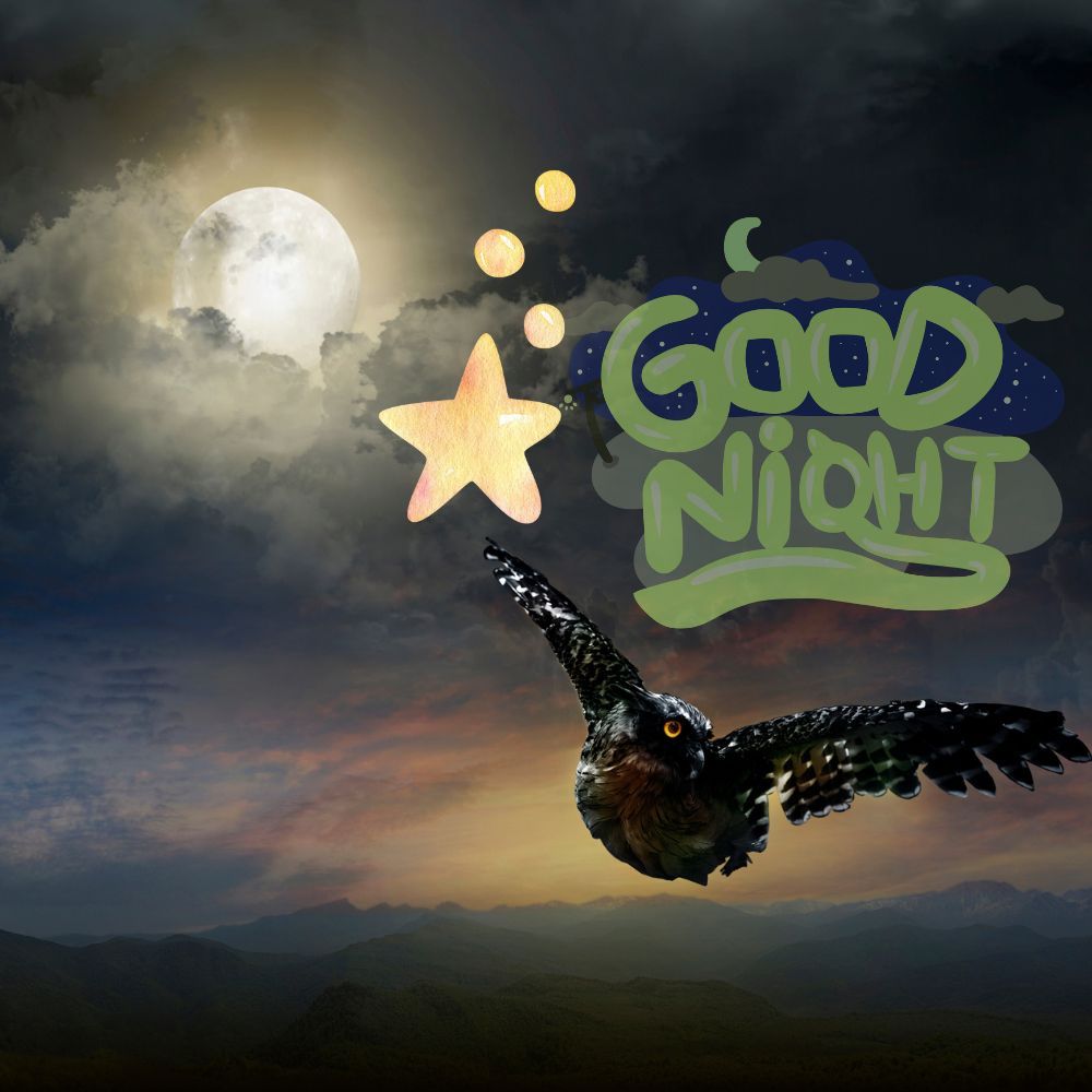 Good Night Images | Good Night Images quotes and wishes