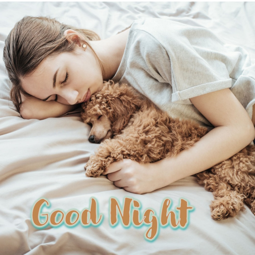 Good Night Images | Good Night Images quotes and wishes