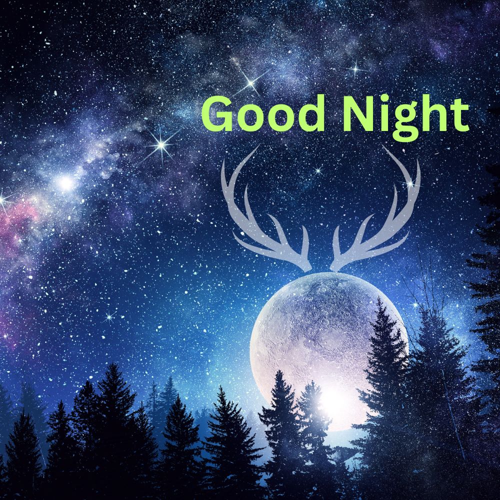 Good Night Images | Good Night Images quotes and wishes