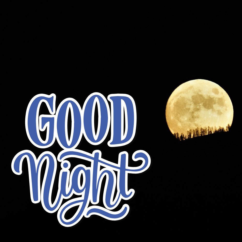 Good Night Images | Good Night Images quotes and wishes