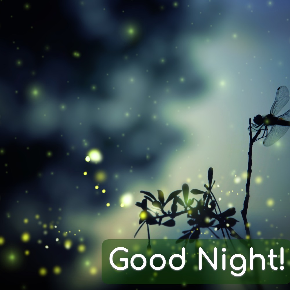 Good Night Images | Good Night Images quotes and wishes