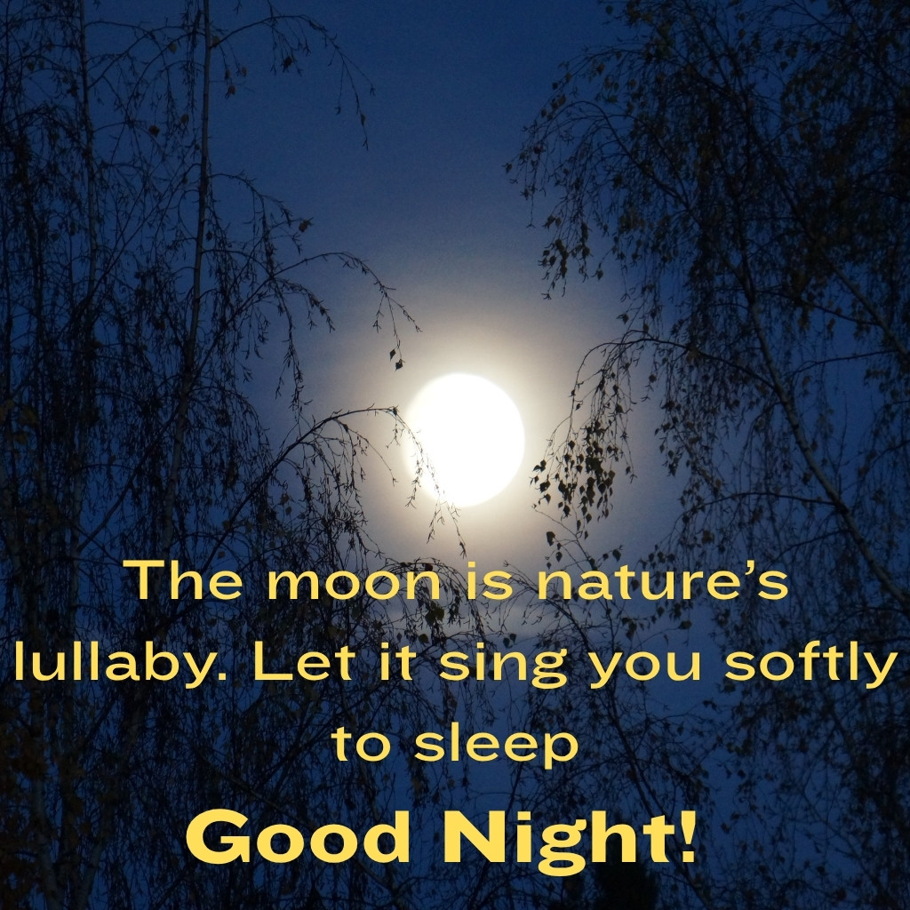 Good Night Images With Moon 12 | Good Night Images With Moon quotes and wishes