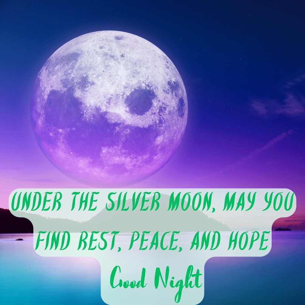 Good Night Images With Moon 02 | Good Night Images With Moon quotes and wishes