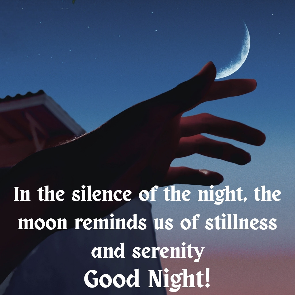 Good Night Images With Moon 18 | Good Night Images With Moon quotes and wishes